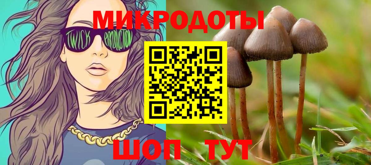 Псилоцибиновые грибы ЛСД Вятские Поляны