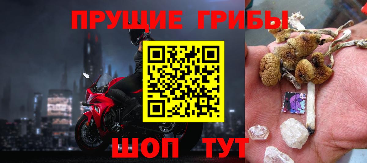 Вятские Поляны  Псилоцибиновые грибы мухоморы  Вход с VPN  Галлюциногенные грибы GOLDEN TEACHER 